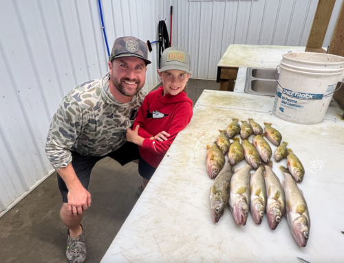 Wisconsin Roofing LLC | Lake Winne MN | Family Life | Perch and Walleye